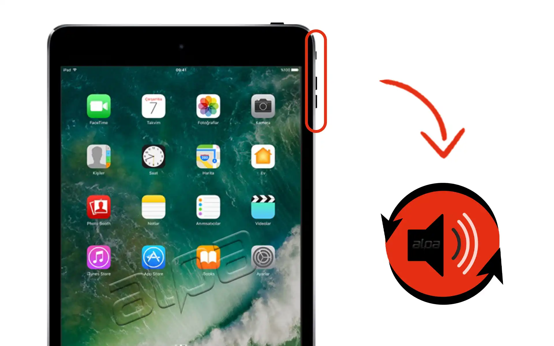 iPad Mini 4 Ses Tuşu Değişimi Fiyatı